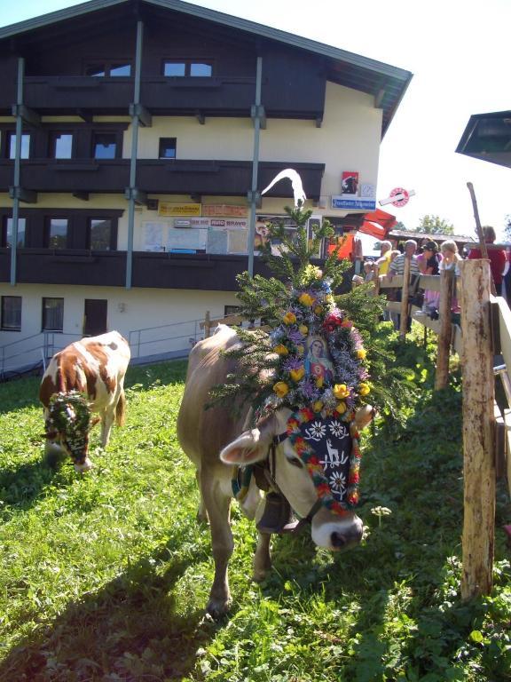 Moida-Ferienwohnung Fügen Rum bild